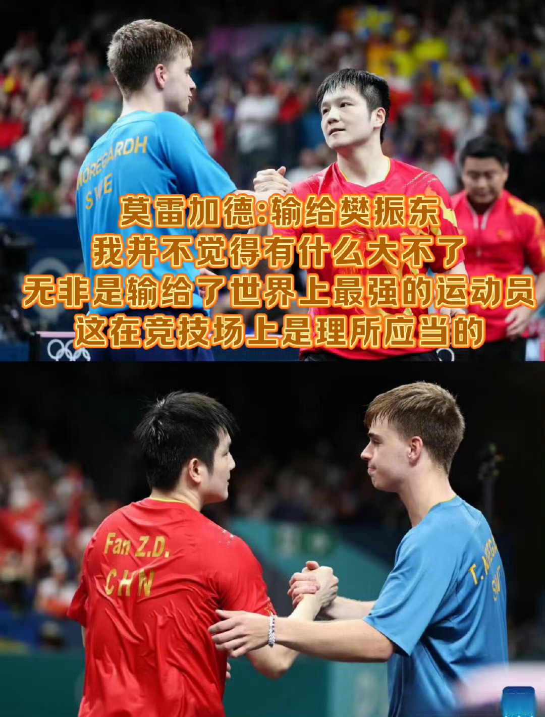 法国队翻盘瑞典队，樊振东带队取胜