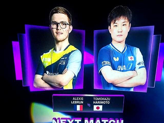 英格兰队轻取日本队，张本智和扛起全队